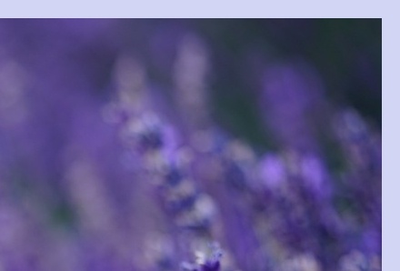 6월 국내 여행지 추천