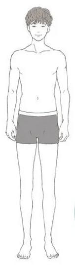 남성의 몸