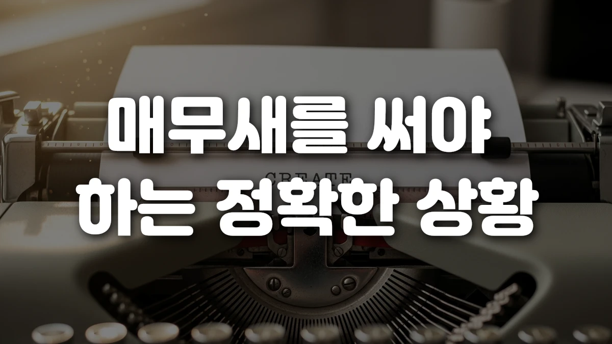매무새를 써야 하는 정확한 상황