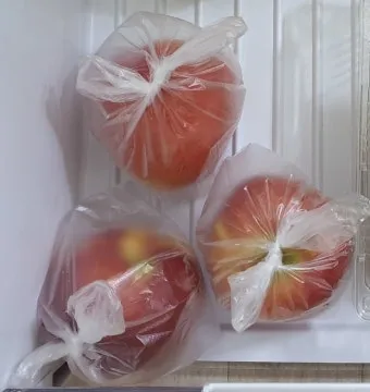 복숭아 보관방법과 싱싱하게 유지하는 팁_13