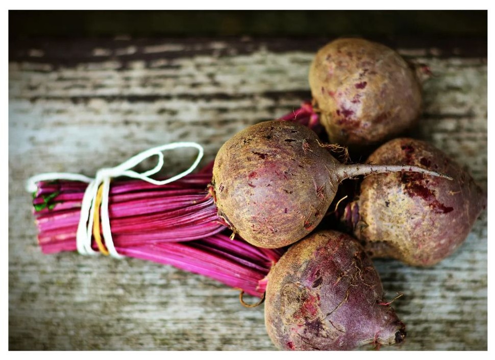 비트 효능의 이해를 위한 비트 이미지