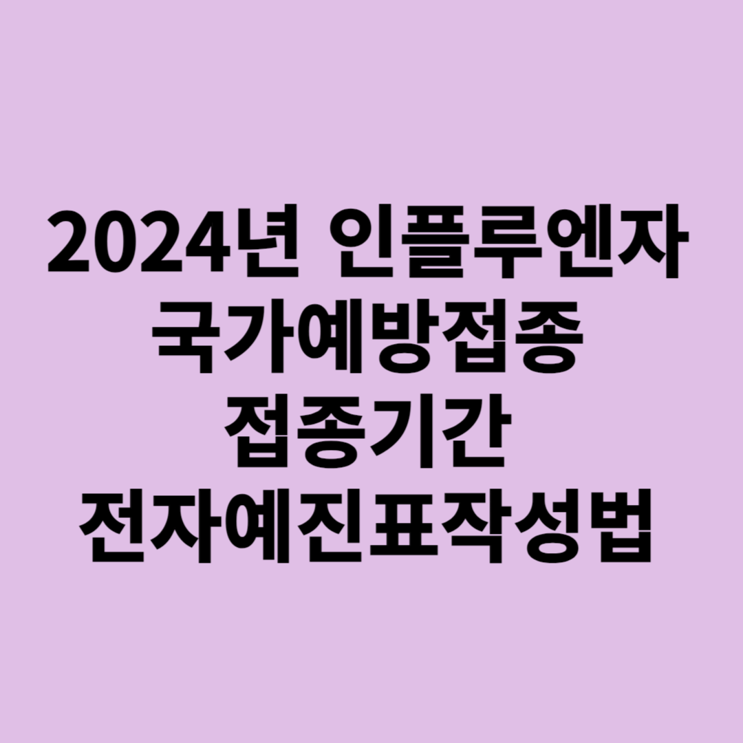 2024년 인플루엔자 국가예방접종 접종기간 전자예진표