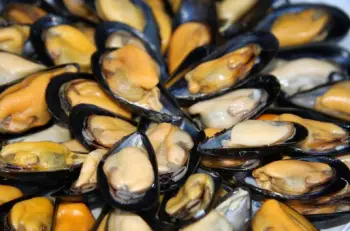 홍합 효능 및 영양성분, 가격