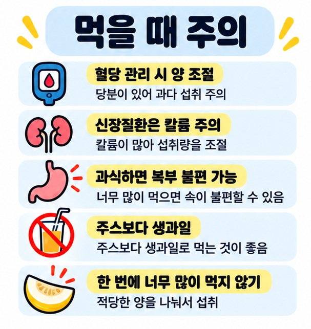참외 섭취 시 혈당 관리, 신장질환의 칼륨 제한, 과다 섭취에 따른 복부 불편을 주의하도록 정리한 카드