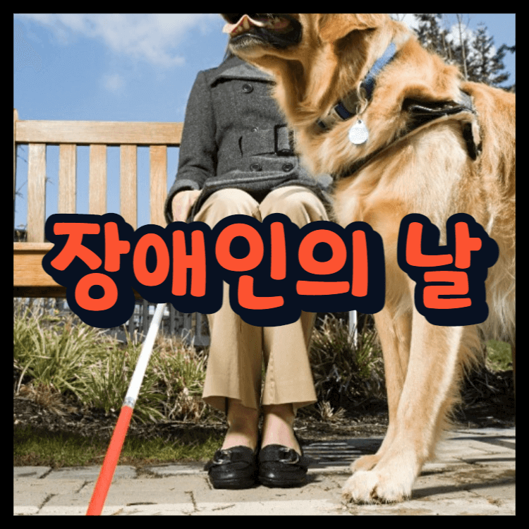장애인과-함께하는-강아지