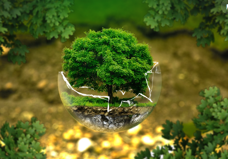 기후행동 기회소득