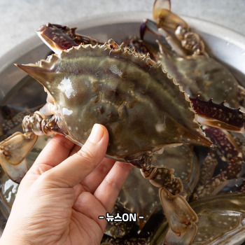 냉동 꽃게탕 끓이는 방법