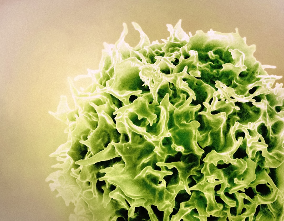 Leukocytes
