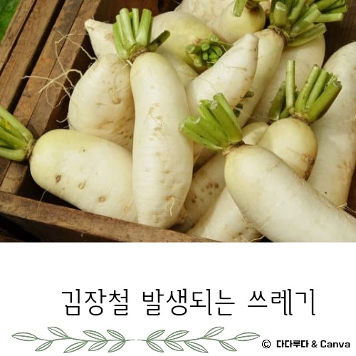 김장쓰레기 배출방법 배출요령 인천시&amp;#44; 서울시