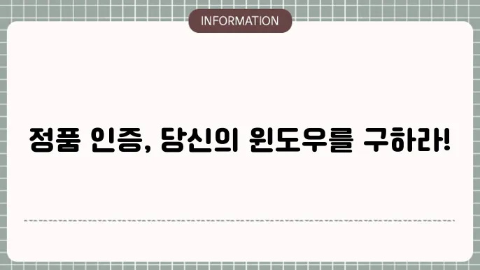 윈도우 제품 인증 관련 이미지