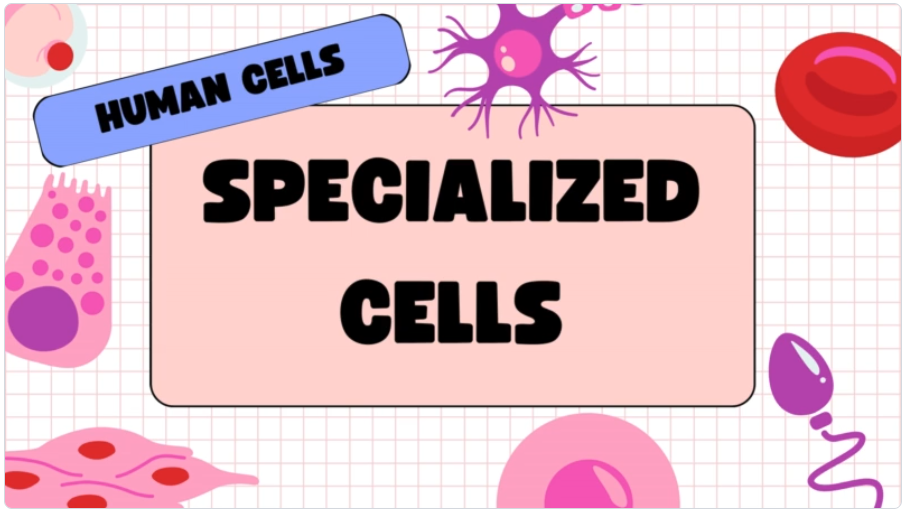 중성자치료에 대한 이미지입니다