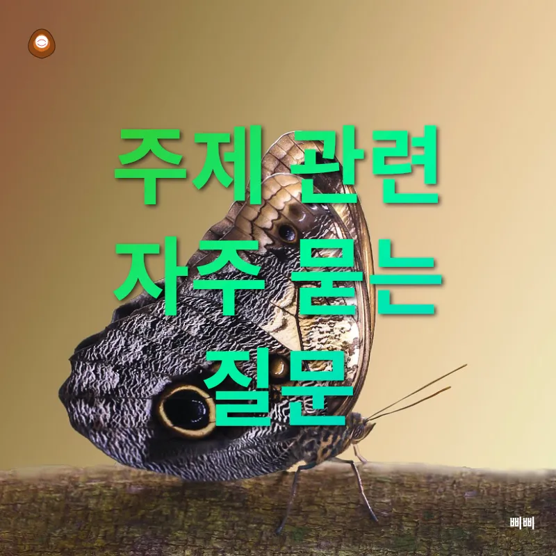 사진 촬영 기법_4