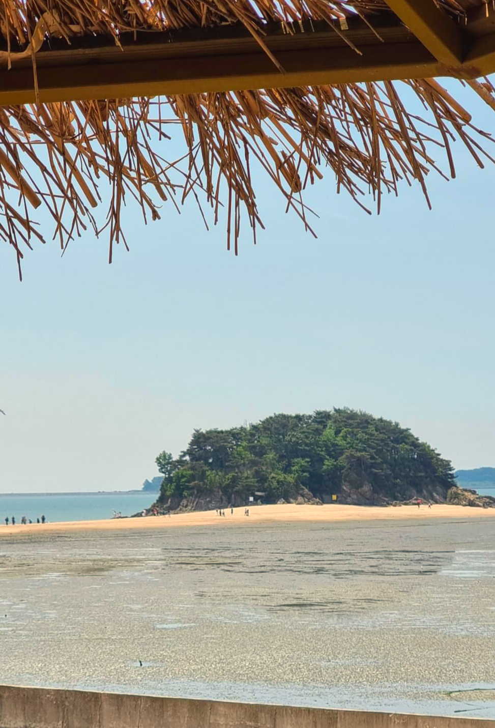 뻘다방에서 바라본 목섬