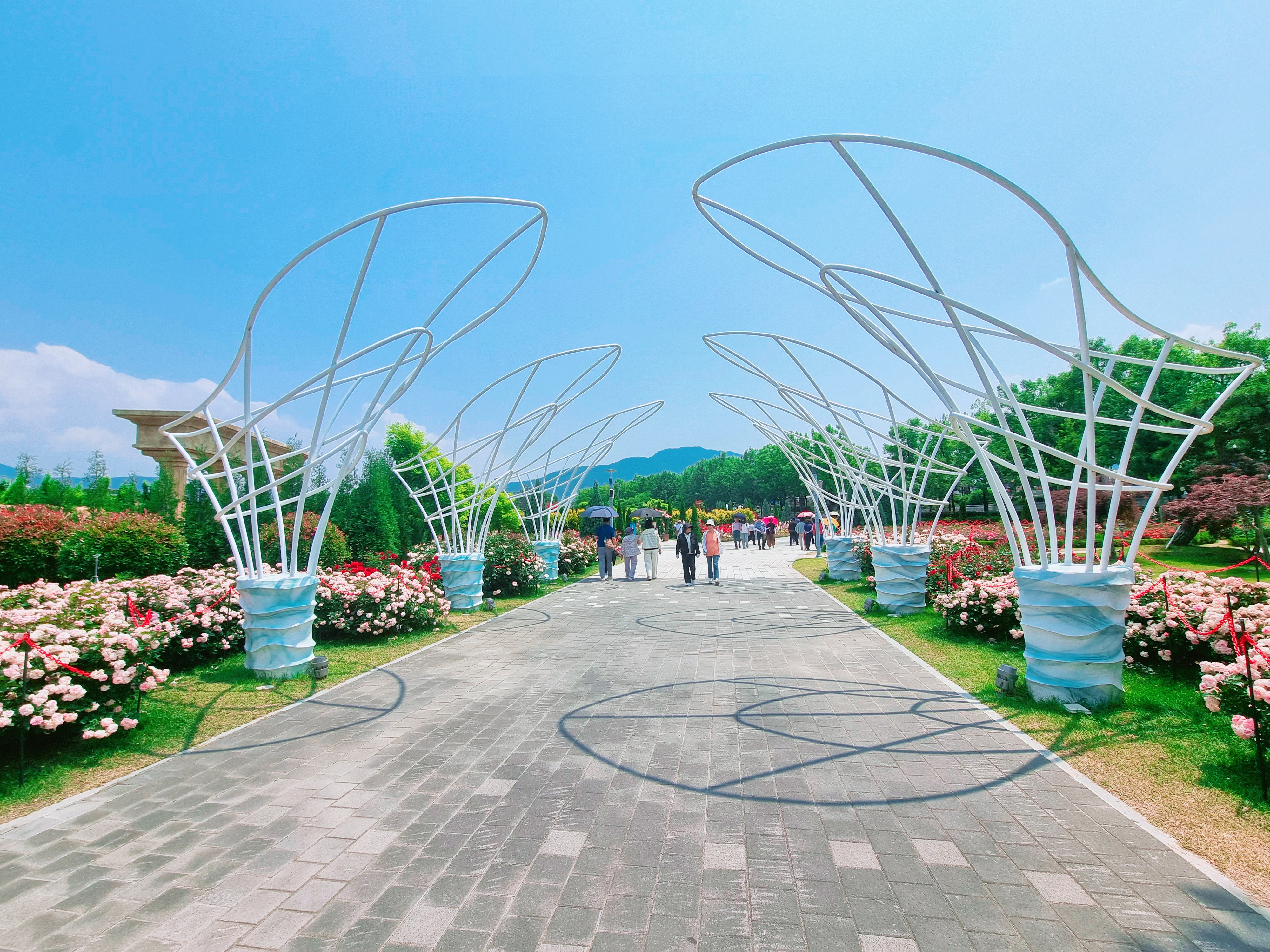 곡성 기차마을 장미공원 사진