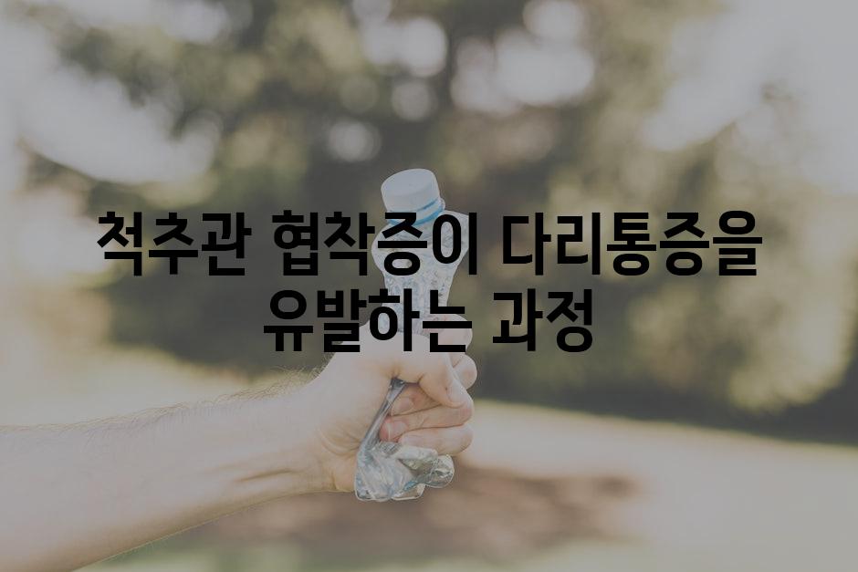 척추관 협착증이 다리통증을 유발하는 과정