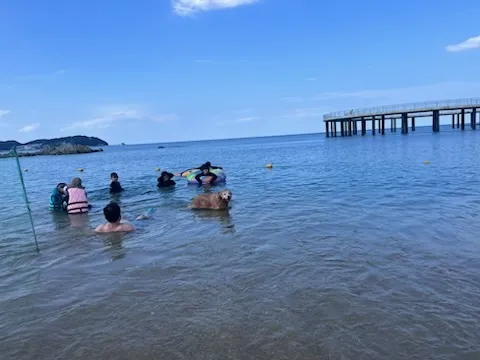 반려견 동반 해수욕장