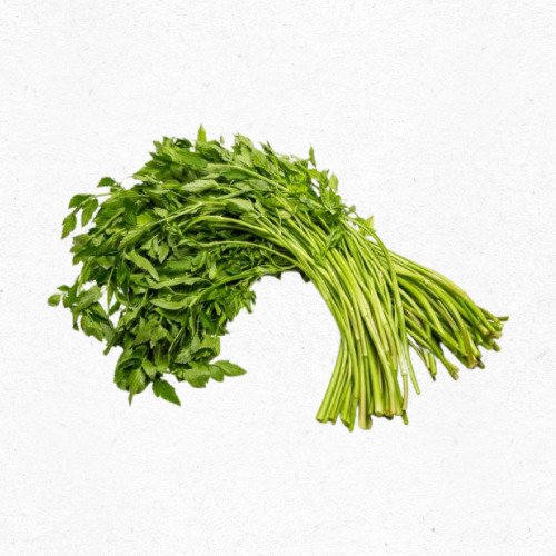 8월 제철나물 미나리 신선한 여름 채소