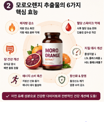 모로오렌지-추출물-효능-효과-내돈내산-추천-제품