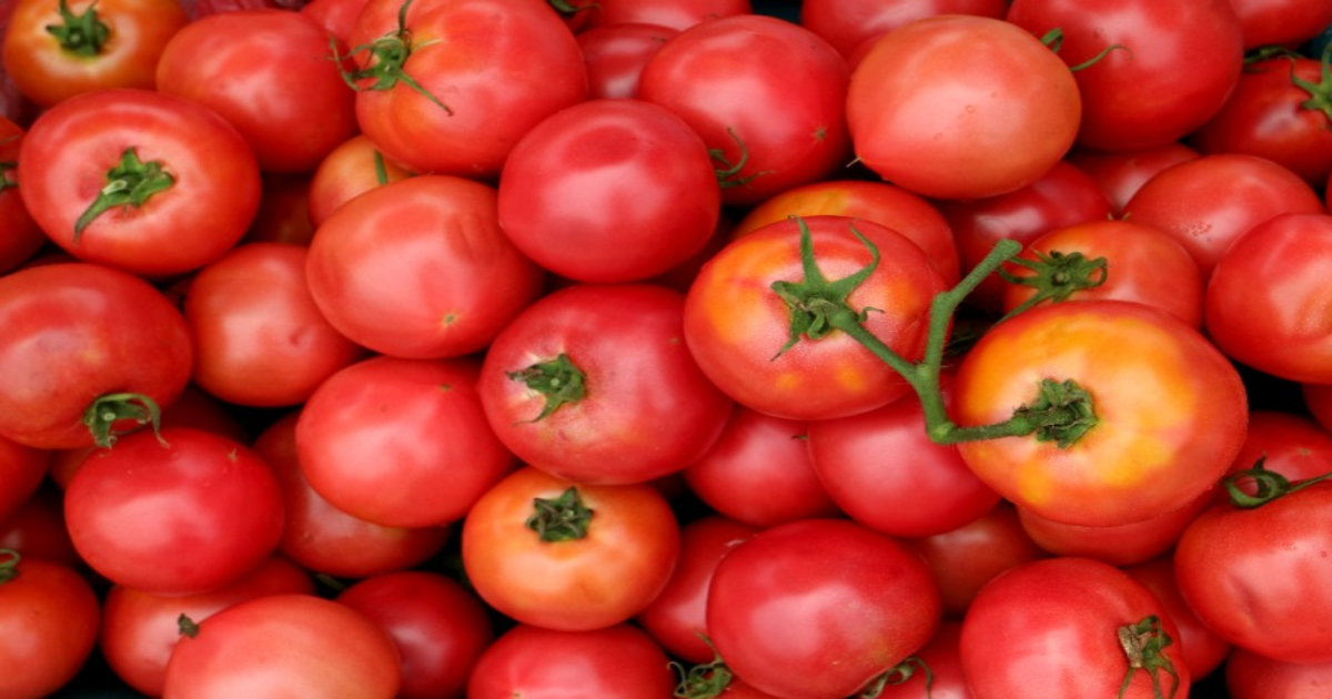 급찐급빠 다이어트 하는 방법