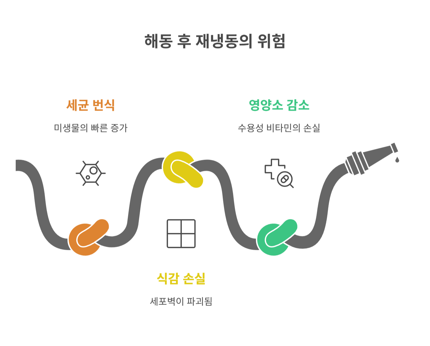 해동 후 재냉동이 위험한 이유