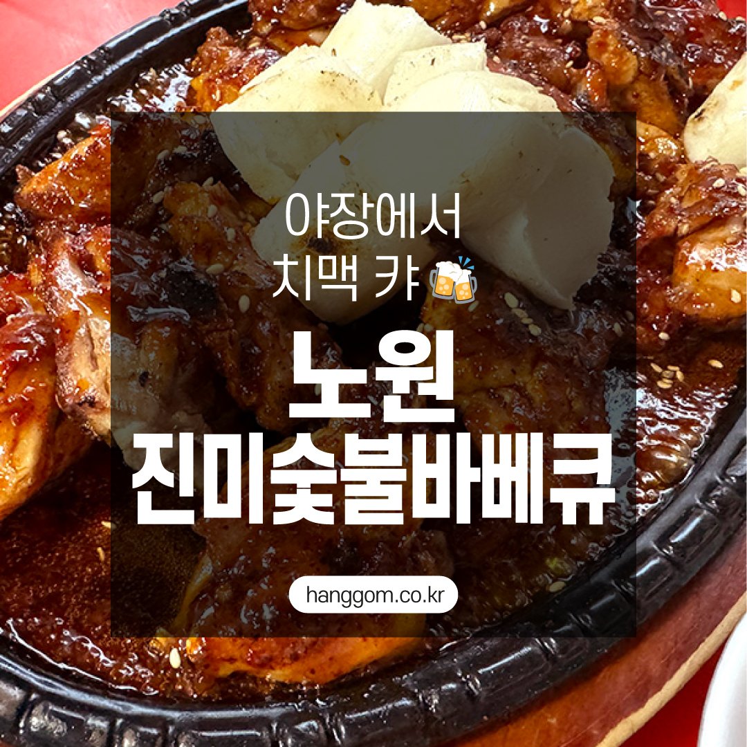 노원 진미숯불바베큐 솔직 후기! 야장에서 치맥 한판 🍻
