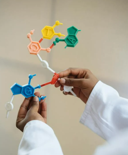 관절 콜라겐 영양제