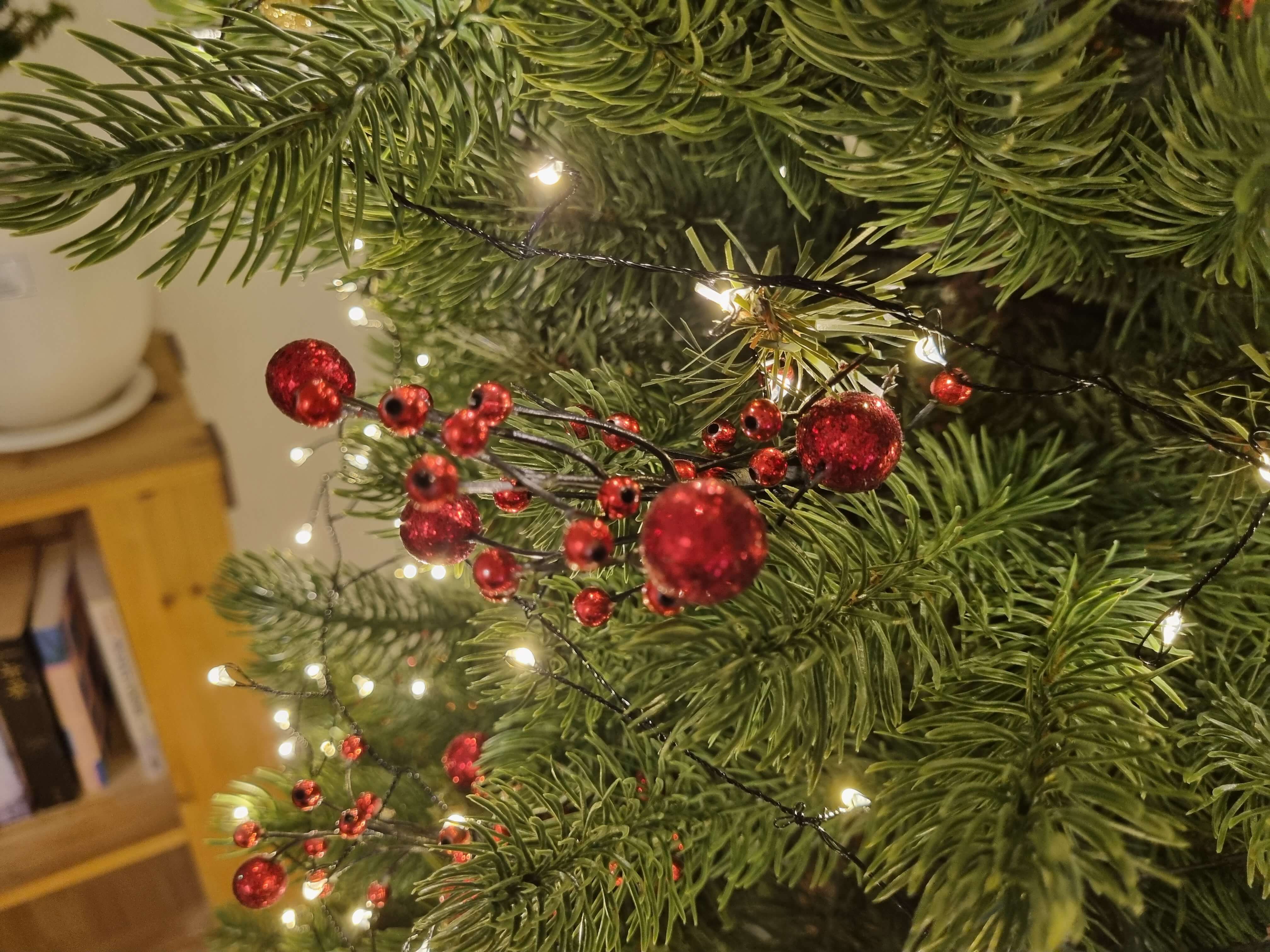 크리스마스 트리