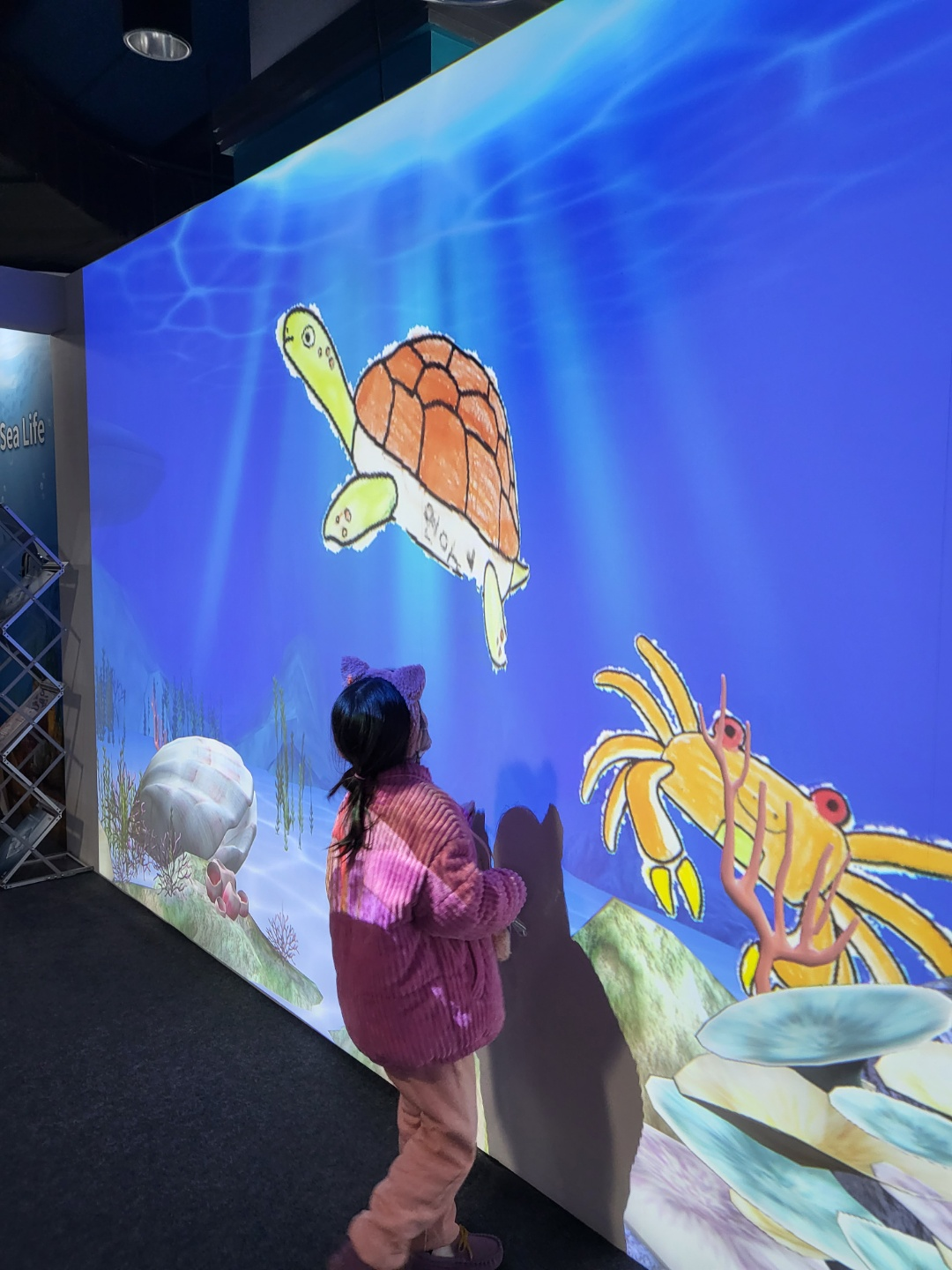 부산 아쿠아리움