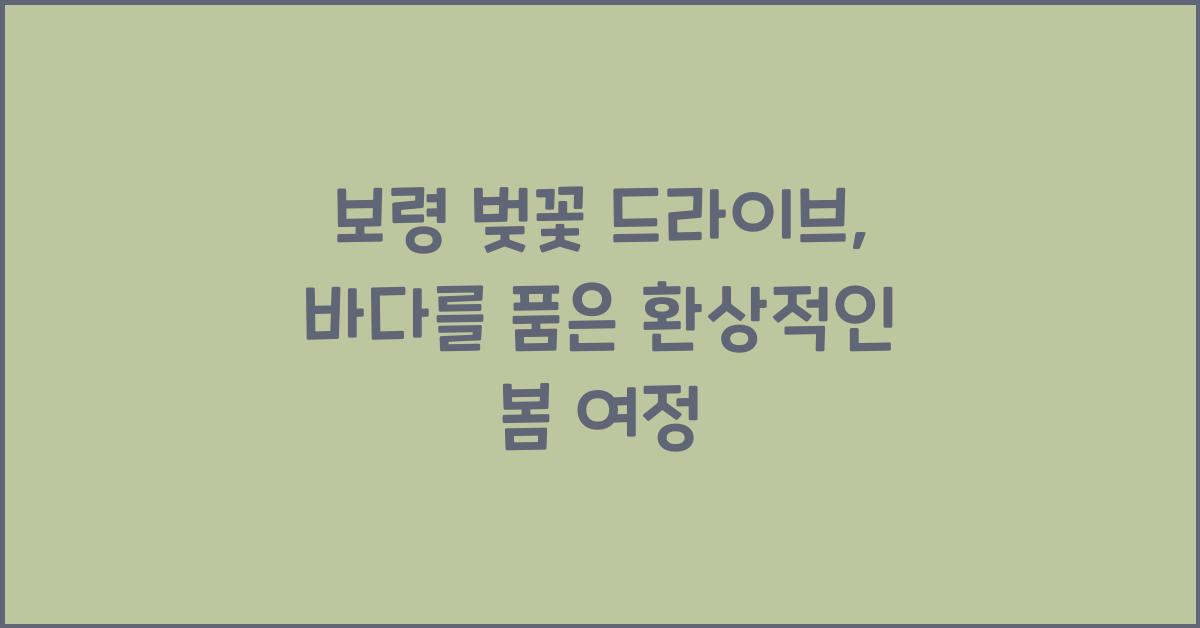 보령 벚꽃 드라이브