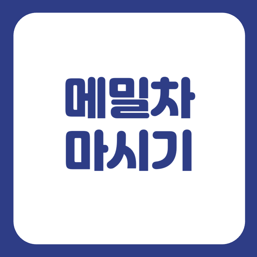 메밀차 물대신