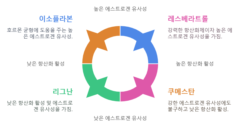 식물성 에스트로겐 유형 분류
