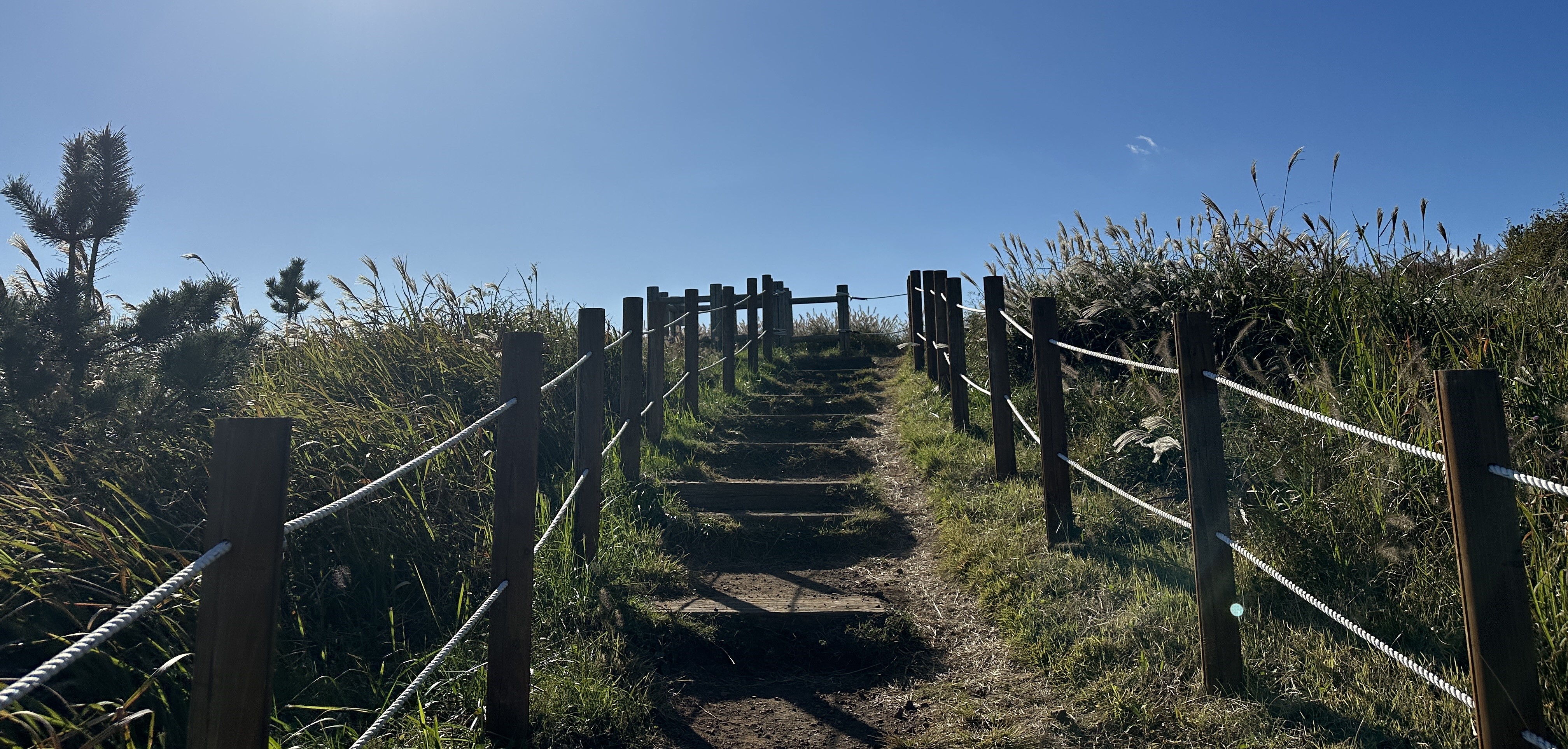 백약이오름 탐방로