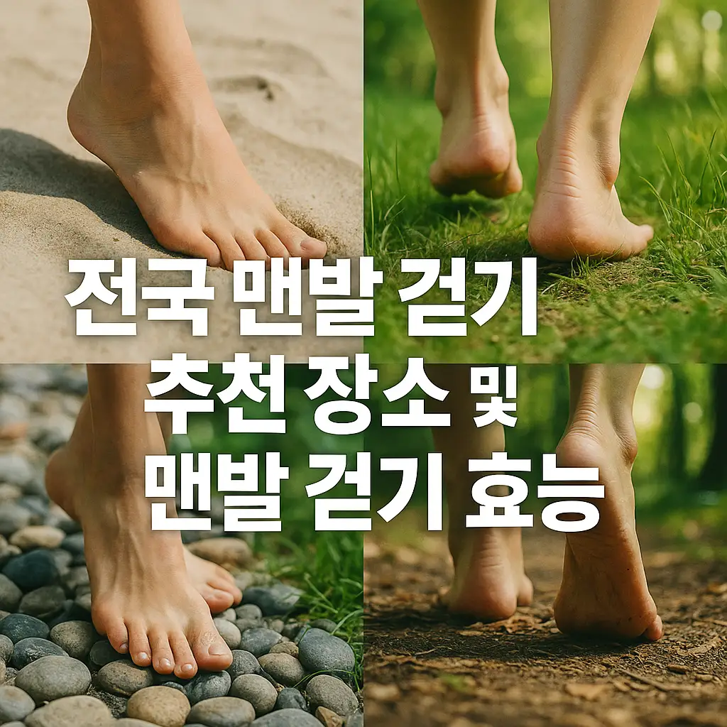 전국 맨발 걷기 추천 장소 및 맨발 걷기 효능