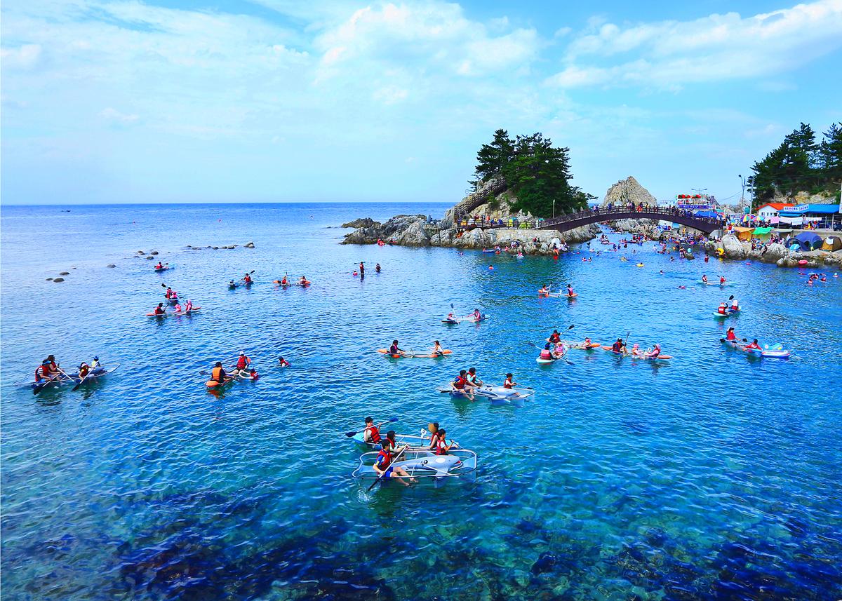 삼척 장호항 스노클링