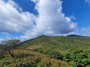 곰배령 천사의화원