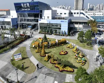 익산 천만송이 국화축제_27