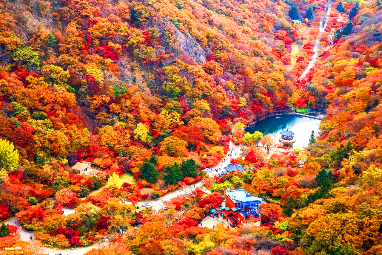 내장산