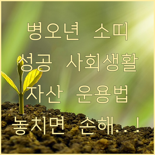 병오년 소띠 운세 전망 성공적인 사회..