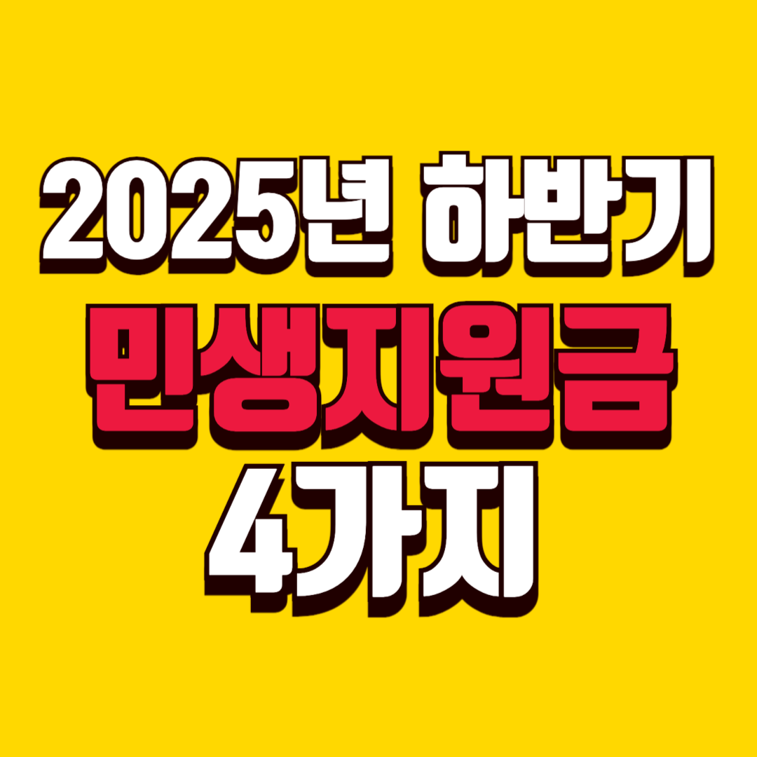 2025년하반기_민생지원금