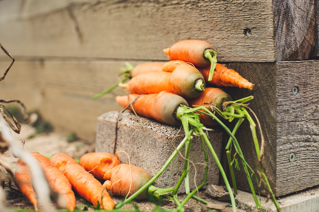 The most important noun in '당근심는시기' (the time when carrots are most eager or desirable) is 'season.'