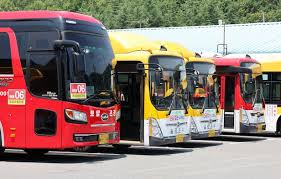 시민의 발이 되는 시내버스 사진