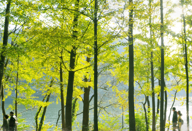 가평 놀거리 명소 액티비티 먹거리