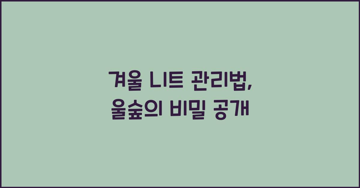 겨울 니트 관리법