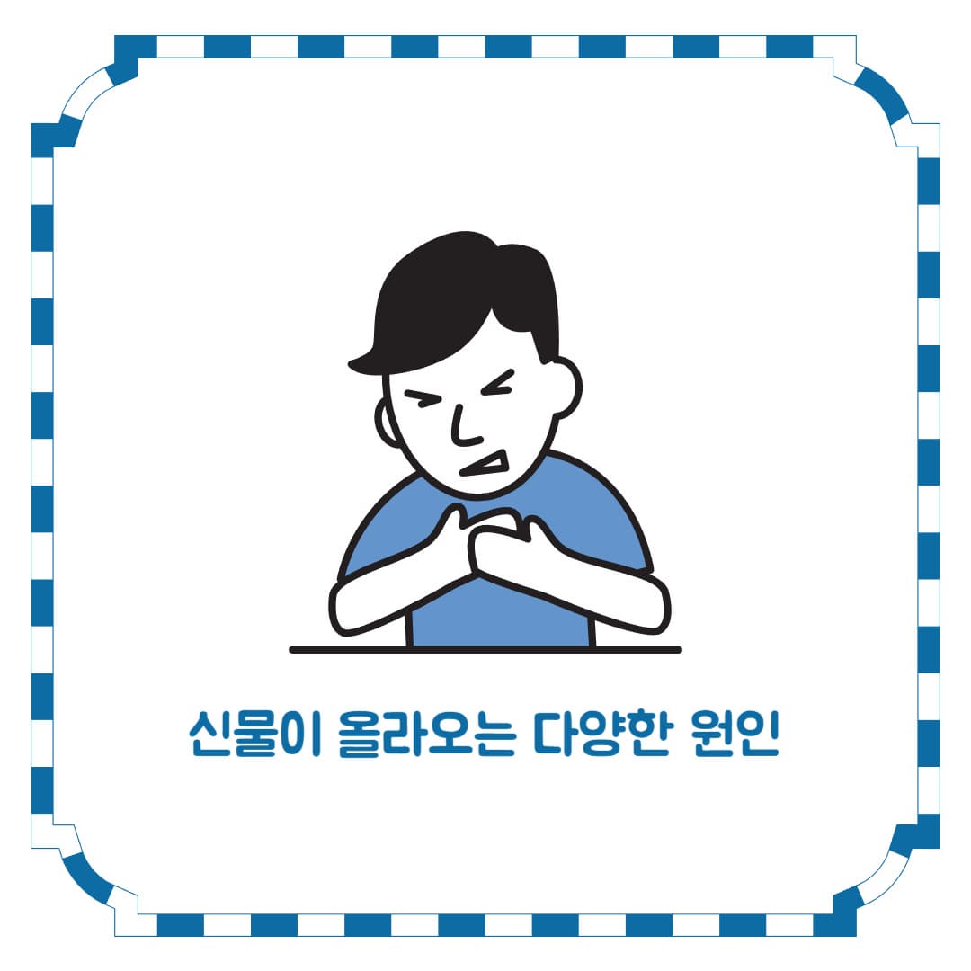 속에서 신물이 올라오는 이유와 완전 관리 가이드