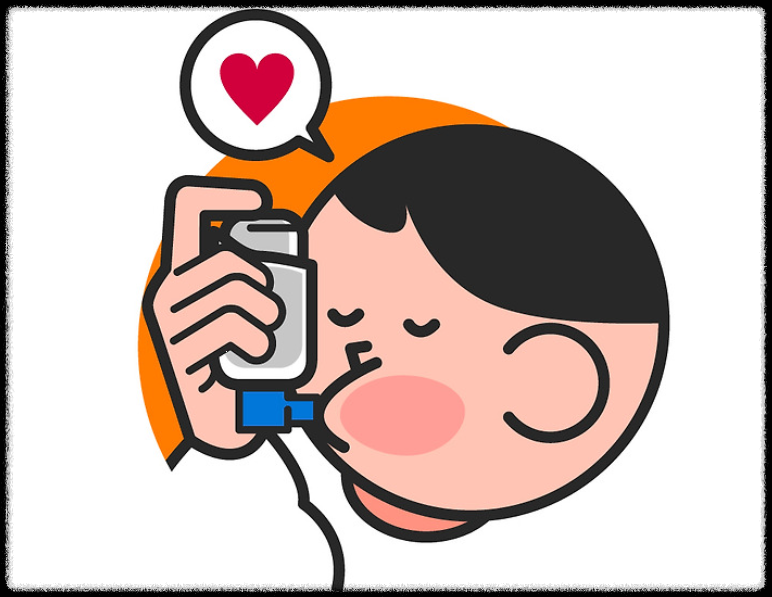 이미지