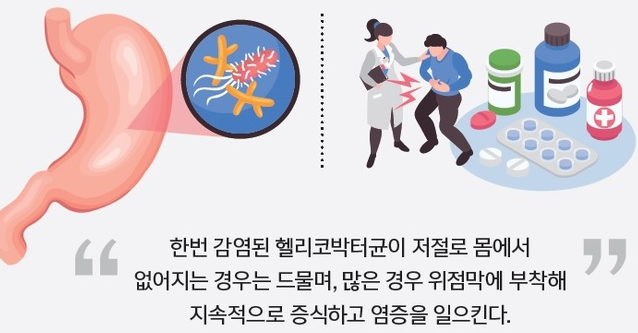 헬리코박터균 전염 확률 원인 경로 증상 검사 약 치료 예방 건강검진 총정리3
