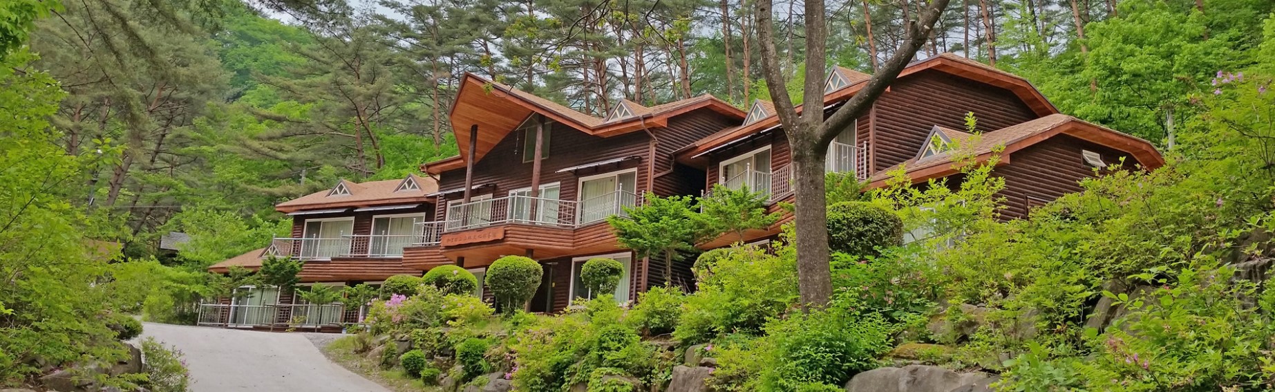 국립-가리왕산-자연휴양림