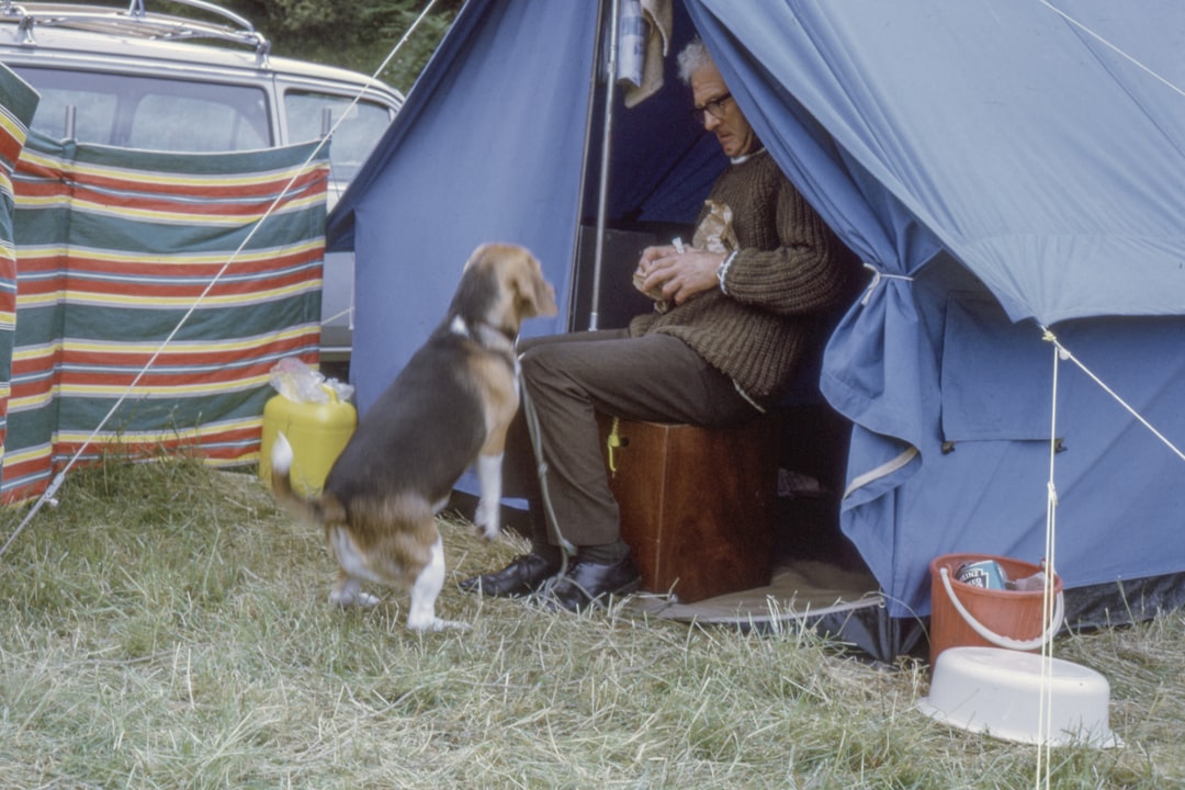 Tent.