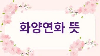 화양연화 한자 뜻 의미 유래 고사성어_17
