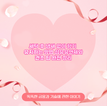 세탁 후 냄새 없이 향기 유지하는 방법 섬유유연제와 건조 팁 완전 정리